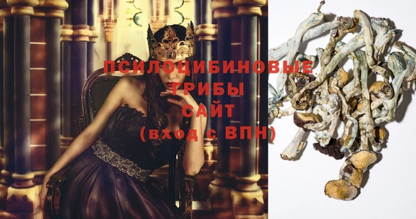 амф Алексин