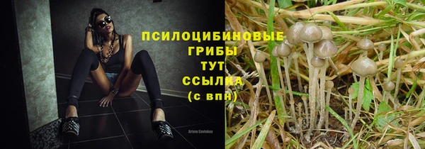 амф Алексин