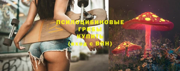 амф Алексин