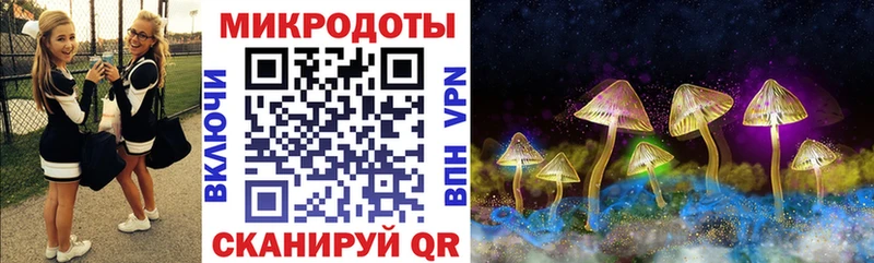 купить цена мега рабочий сайт Галлюциногенные грибы MAGIC MUSHROOMS Камешково